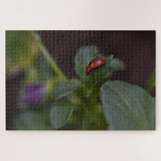 Ladybug on Flowers ジグソーパズル (横)