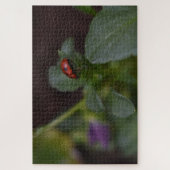 Ladybug on Flowers ジグソーパズル (縦)