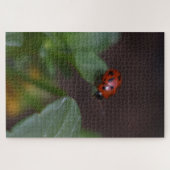 Ladybug on Flowers ジグソーパズル (横)