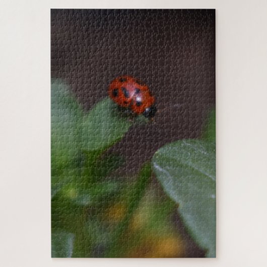 Ladybug on Flowers ジグソーパズル (縦)