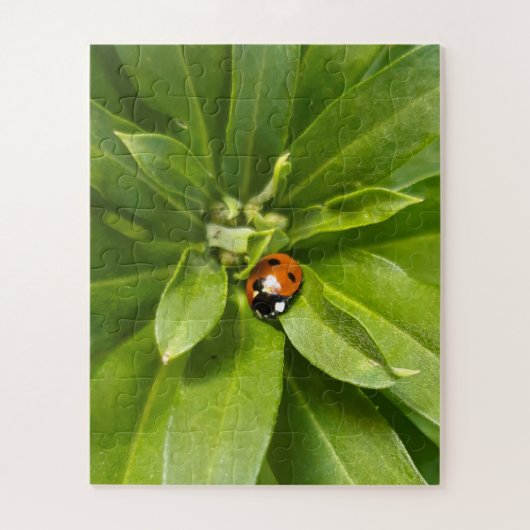 Ladybug on Flowers ジグソーパズル (縦)