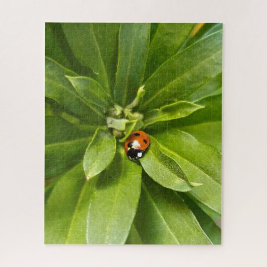 Ladybug on Flowers ジグソーパズル (縦)