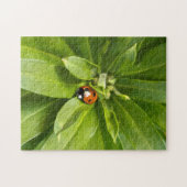 Ladybug on Flowers ジグソーパズル (横)