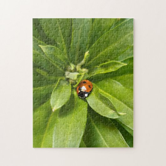 Ladybug on Flowers ジグソーパズル (縦)