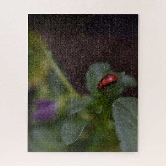 Ladybug on Flowers ジグソーパズル (縦)