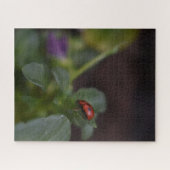 Ladybug on Flowers ジグソーパズル (横)