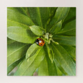 Ladybug on Flowers ジグソーパズル (横)