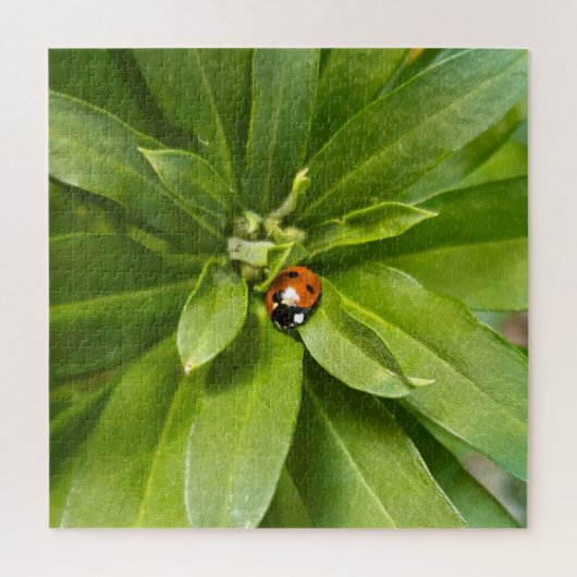 Ladybug on Flowers ジグソーパズル (縦)