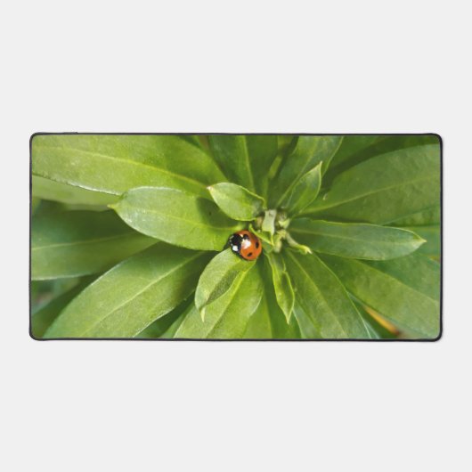 Ladybug on Flowers デスクマット (正面)