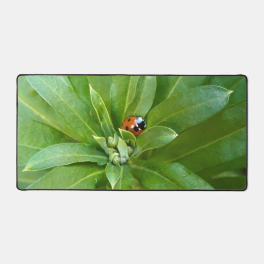 Ladybug on Flowers デスクマット (正面)