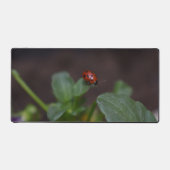 Ladybug on Flowers デスクマット (正面)