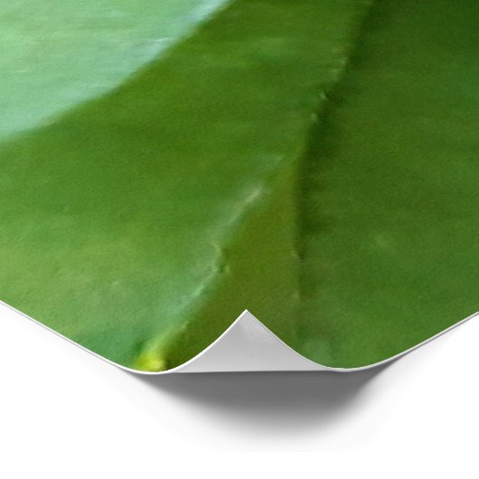 Ladybug on Flowers ポスター (角)