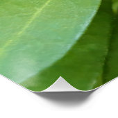 Ladybug on Flowers ポスター (コーナー)