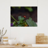 Ladybug on Flowers ポスター (キッチン)