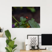 Ladybug on Flowers ポスター (ホームオフィス)