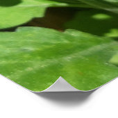 Ladybug on Flowers ポスター (角)