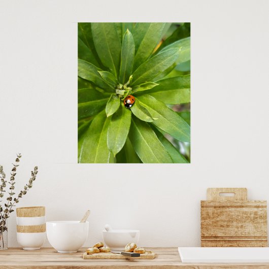 Ladybug on Flowers ポスター (キッチン)