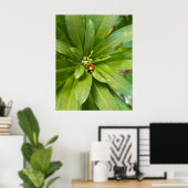 Ladybug on Flowers ポスター (ホームオフィス)