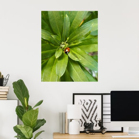 Ladybug on Flowers ポスター (ホームオフィス)