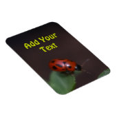 Ladybug on Flowers マグネット (右側)