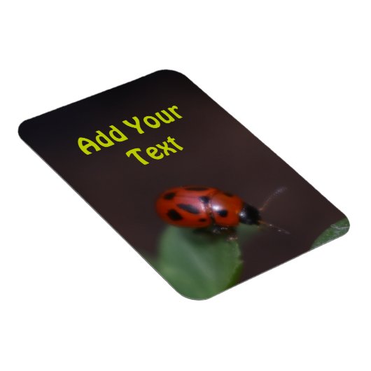 Ladybug on Flowers マグネット (右側)