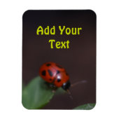 Ladybug on Flowers マグネット (縦)