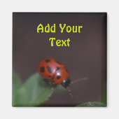 Ladybug on Flowers マグネット (正面)