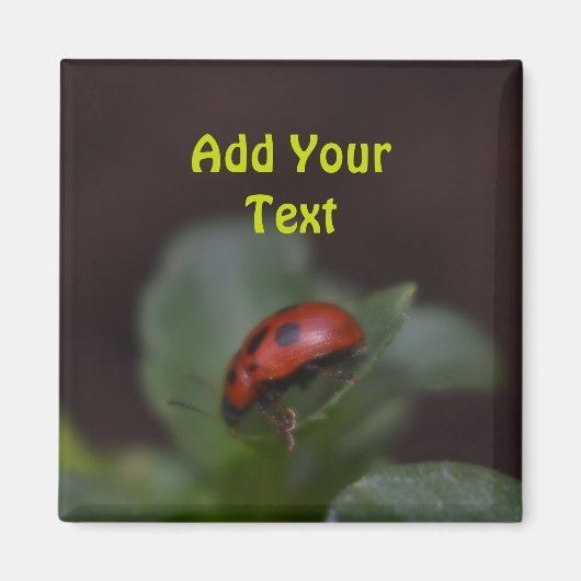 Ladybug on Flowers マグネット (正面)