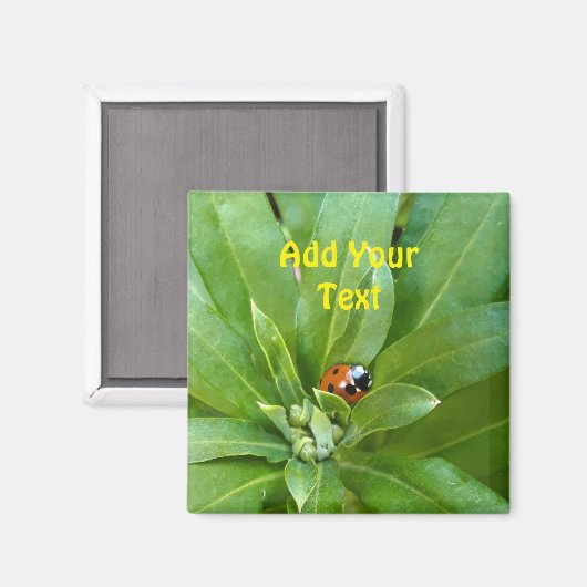 Ladybug on Flowers マグネット (正面/裏面)