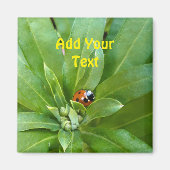 Ladybug on Flowers マグネット (正面)