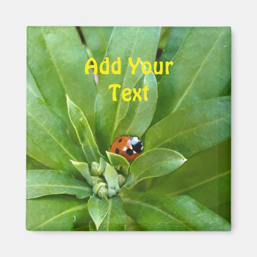 Ladybug on Flowers マグネット (正面)