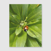 Ladybug on Flowers – 磁気カード (正面)