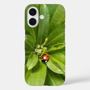 Ladybug on Flowers iPhone 16ケース