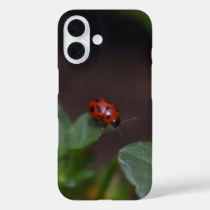 Ladybug on Flowers iPhone 16ケース