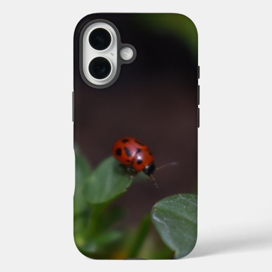 Ladybug on Flowers Case-Mate iPhoneケース (裏面)