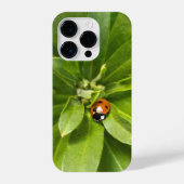 Ladybug on Flowers iPhoneケース (裏面)