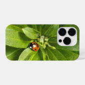 Ladybug on Flowers iPhoneケース (裏面横)