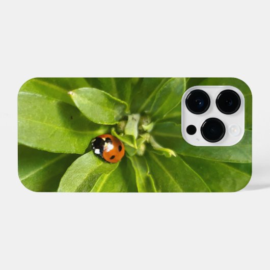 Ladybug on Flowers iPhoneケース (裏面横)