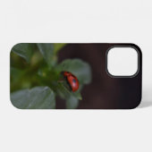 Ladybug on Flowers iPhoneケース (裏面横)
