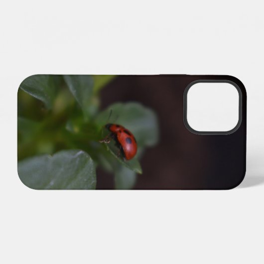 Ladybug on Flowers iPhoneケース (裏面横)