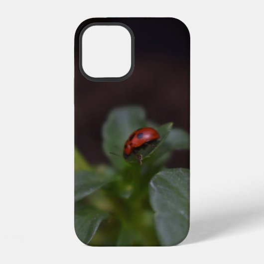 Ladybug on Flowers iPhoneケース (裏面)