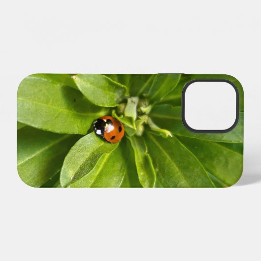 Ladybug on Flowers iPhoneケース (裏面横)