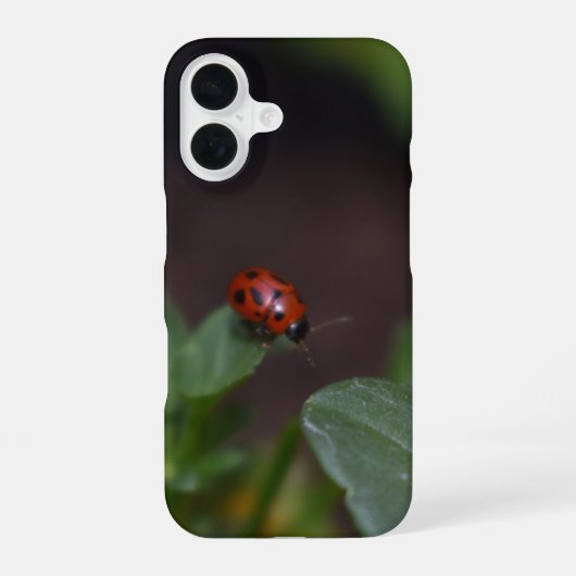 Ladybug on Flowers iPhone 16ケース (裏面)