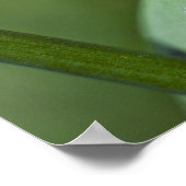 Ladybug on Grassクローズアップ ポスター (角)