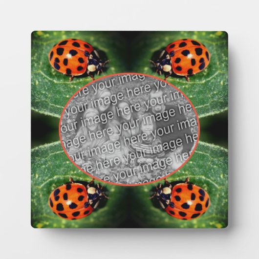 Ladybug On Leaf自分の写真を作成 フォトプラーク (正面)