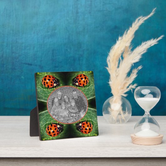 Ladybug On Leaf自分の写真を作成 フォトプラーク (インサイチュ)