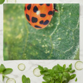 Ladybug On Leaf Close Up  キッチンタオル (折り畳み)