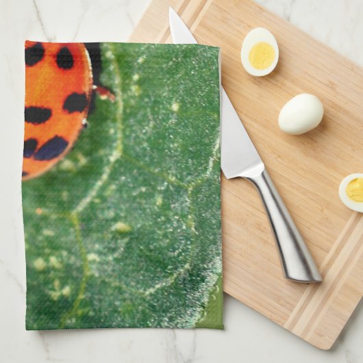 Ladybug On Leaf Close Up  キッチンタオル (四つ折り)