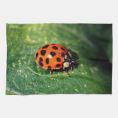 Ladybug On Leaf Close Up  キッチンタオル (横)