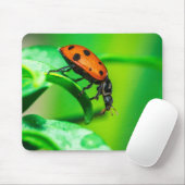 Ladybug on Leaf – Macro Nature Photo Art Print マウスパッド (マウス)